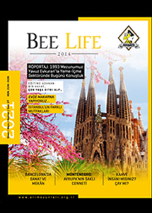 Bee Life - 27