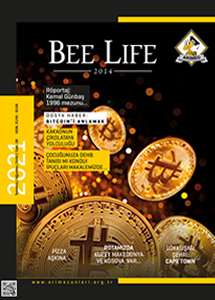 Bee Life - 27