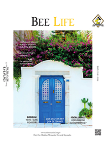 Bee Life - 31