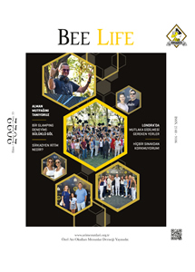 Bee Life - 33